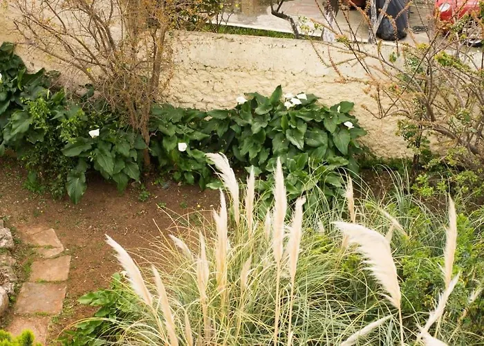 Tatiana's Garden House * חאניה