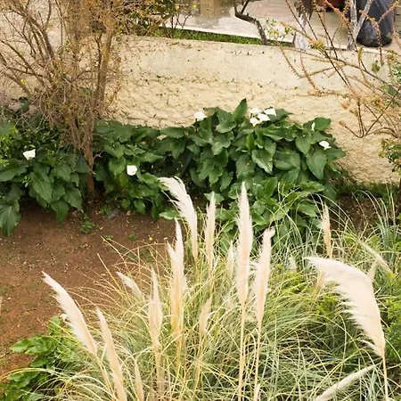 Tatiana's Garden House * La Canée